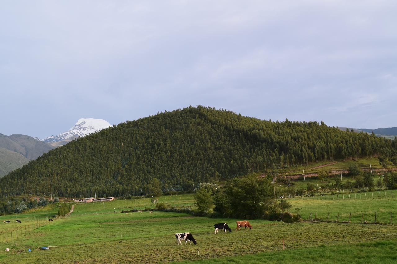 Cottage House Cayambe Room photo